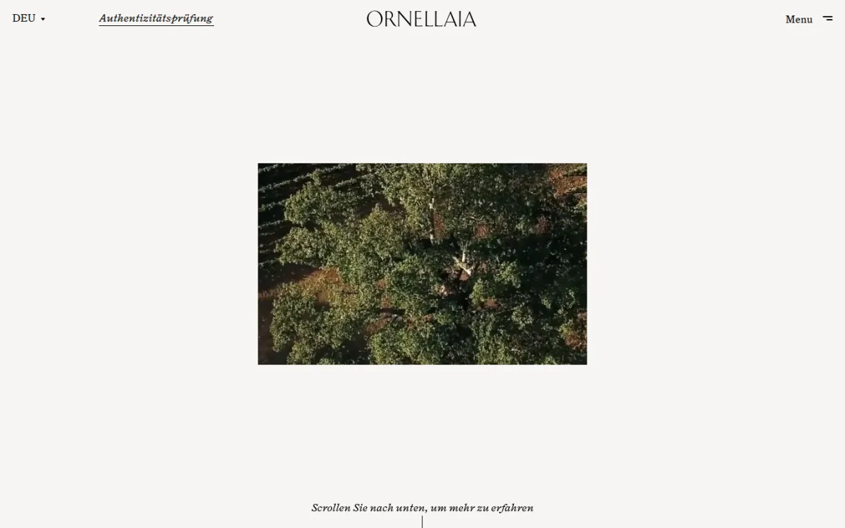 Startseite von ornellaia.com