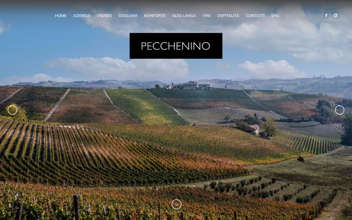 Startseite von pecchenino.it