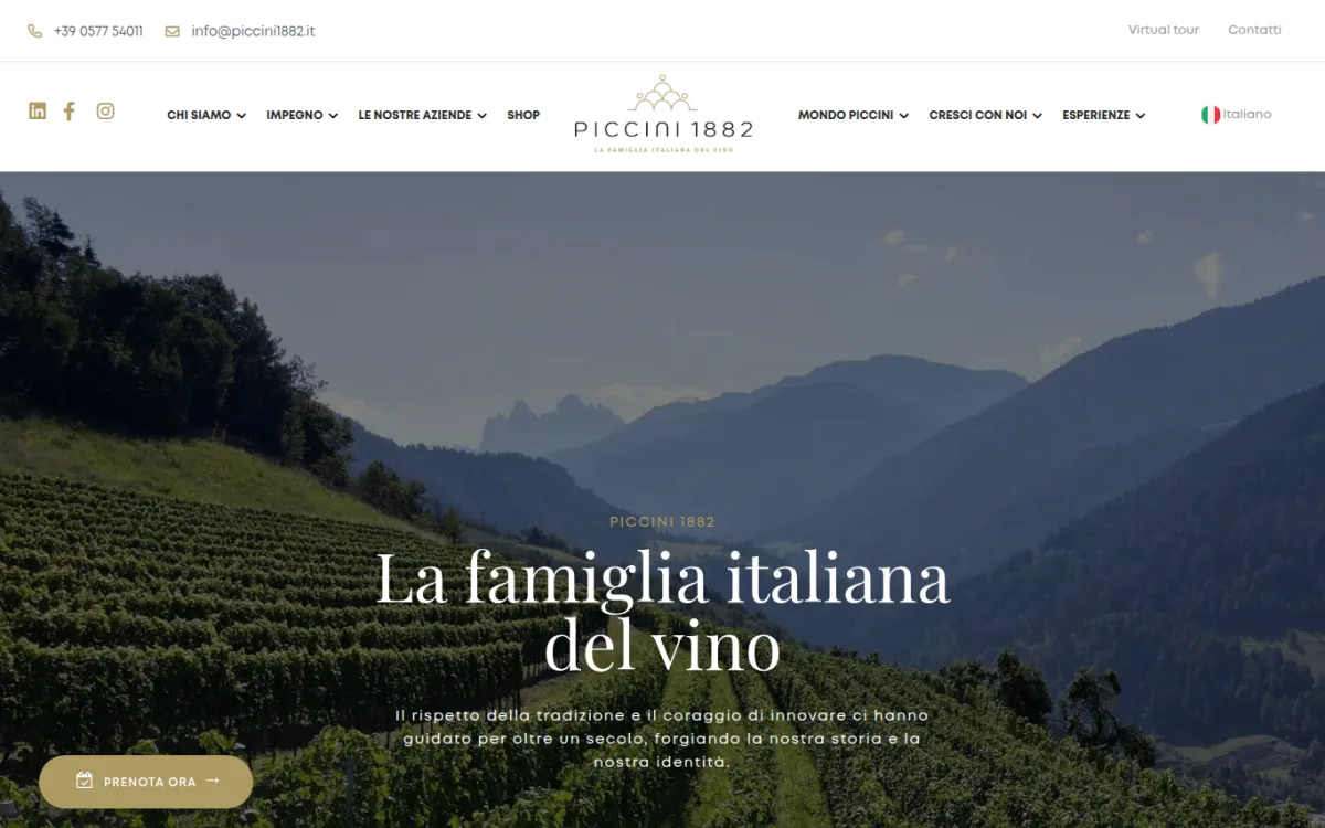 Startseite von piccini1882.it