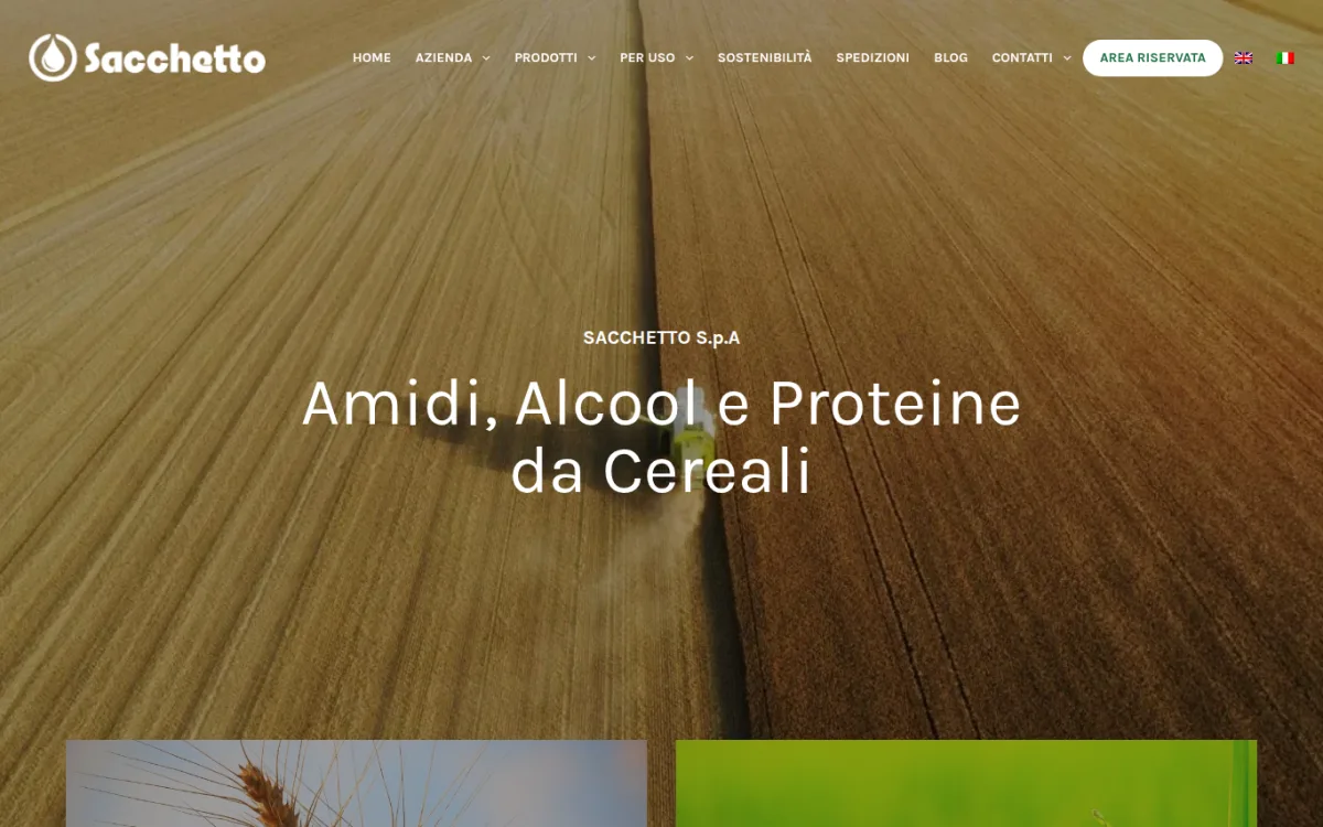 Startseite von sacchetto.it