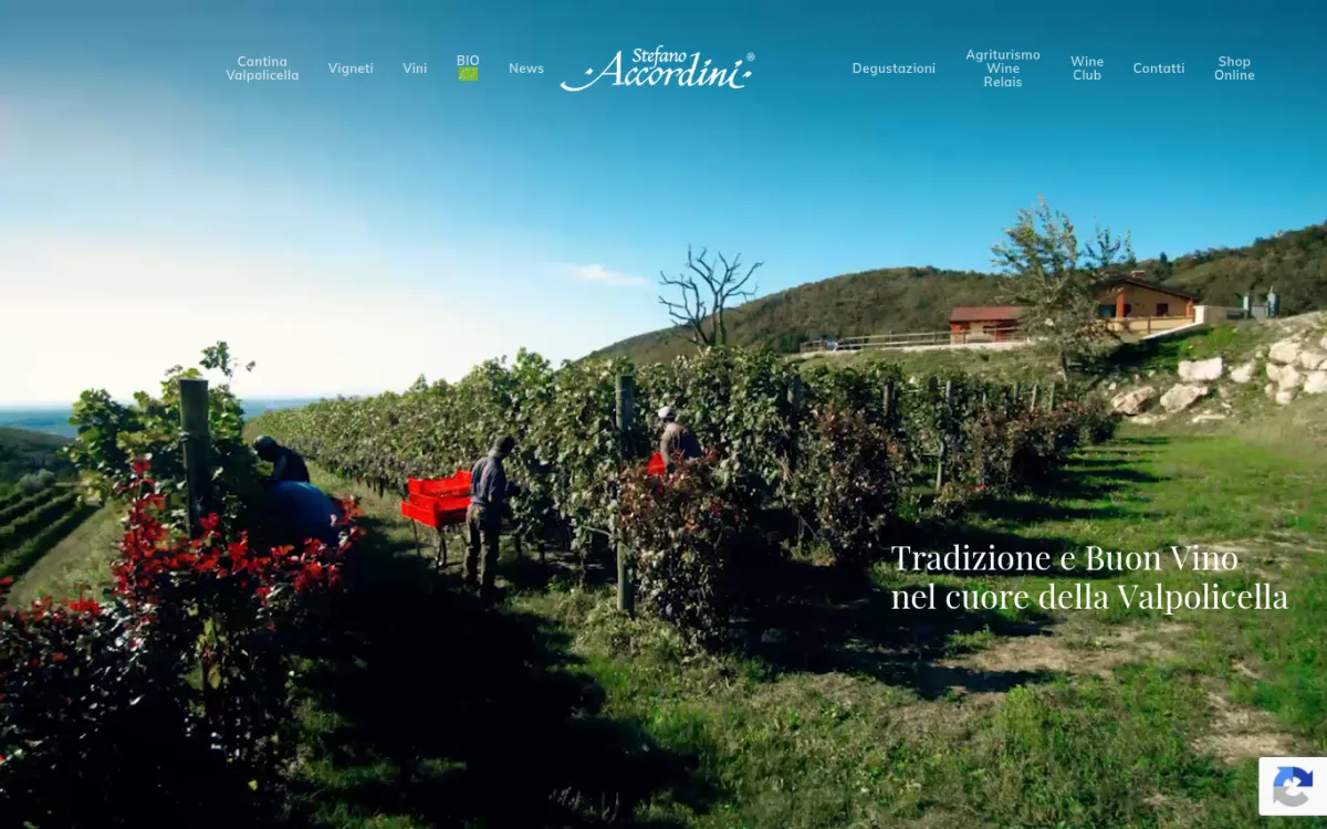 Startseite von accordinistefano.it