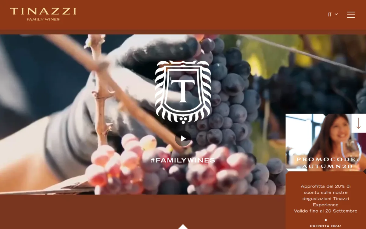 Startseite von tinazzi.it