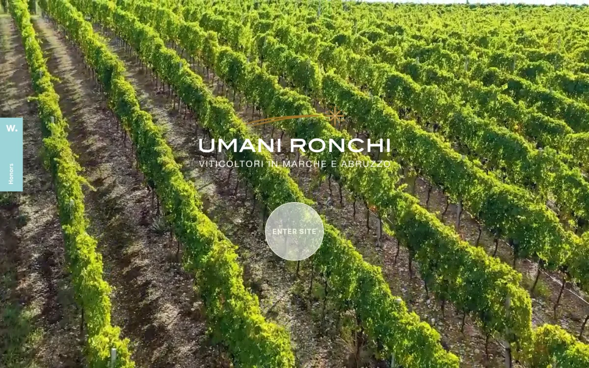 Startseite von umanironchi.com