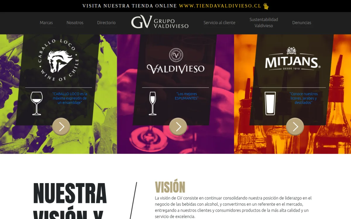 Startseite von grupovaldivieso.cl