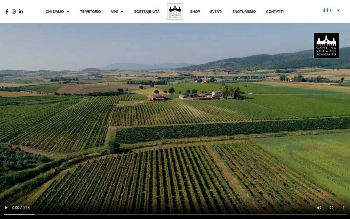 Startseite von vignaiolidiscansano.it