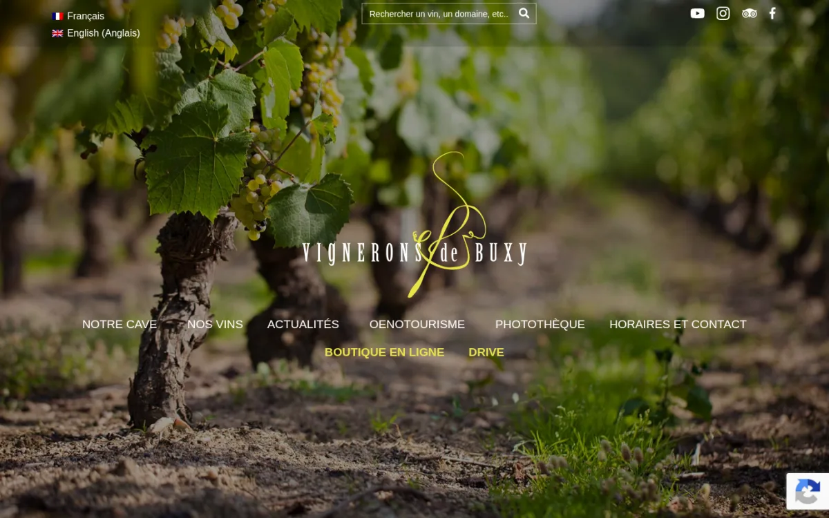 Startseite von vigneronsdebuxy.fr