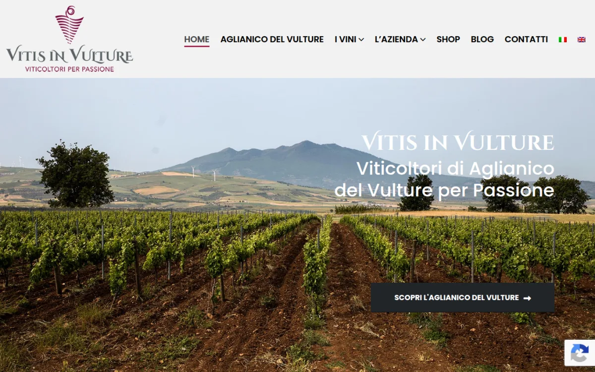 Startseite von vitisinvulture.com