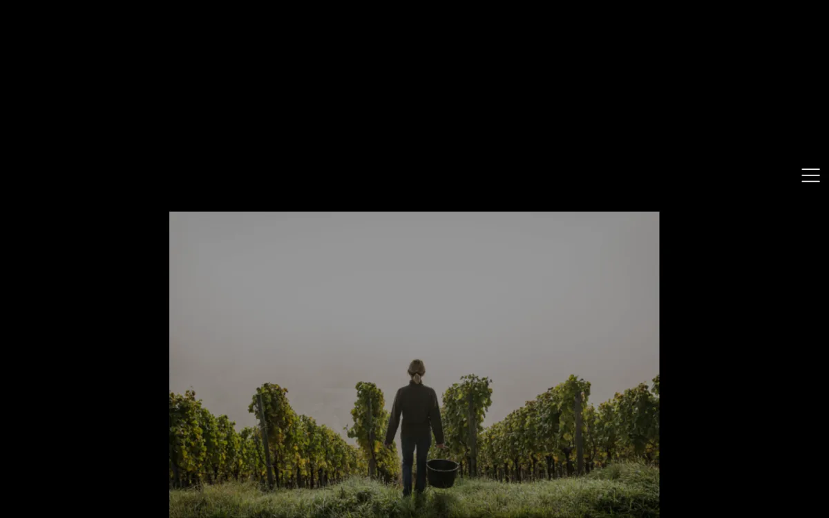 Startseite von weingut-horst-sauer.de
