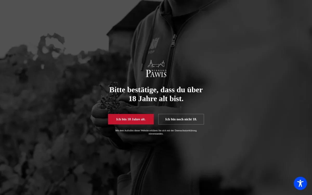 Startseite von weingut-pawis.de