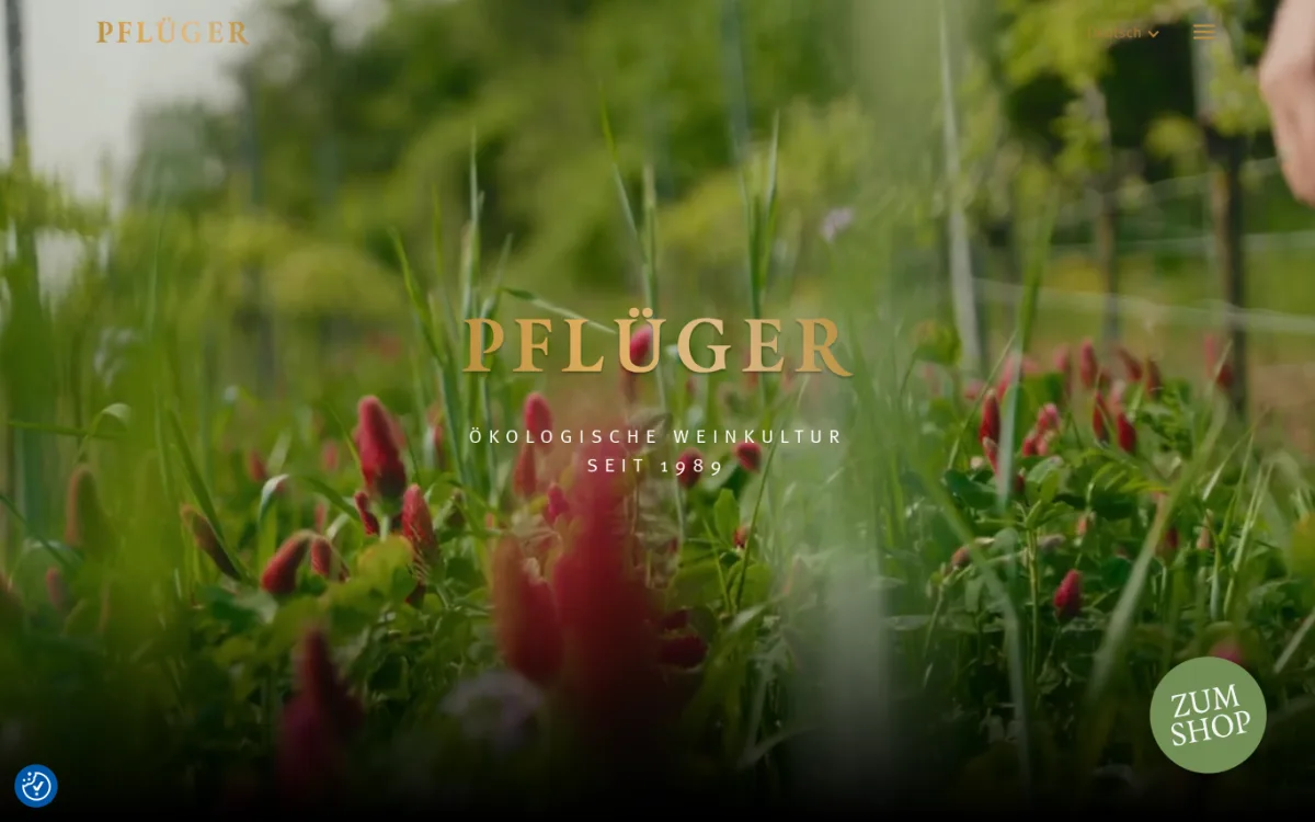Startseite von pflueger-wein.de