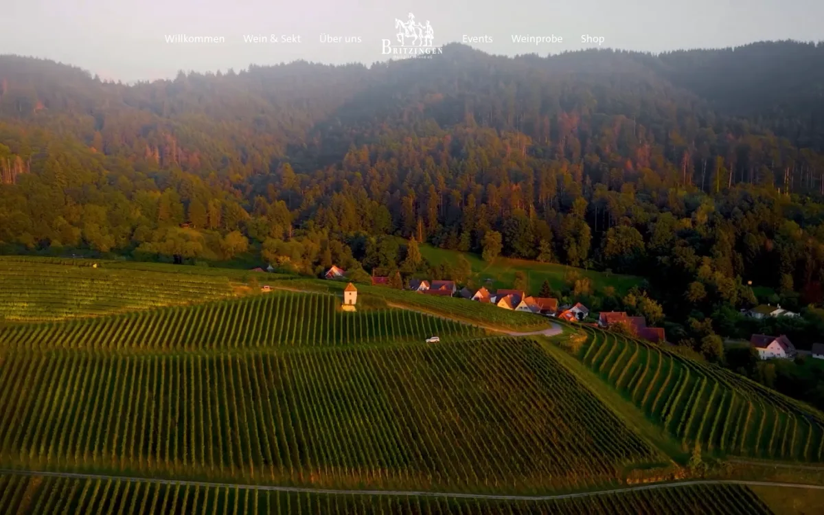 Startseite von britzinger-wein.de