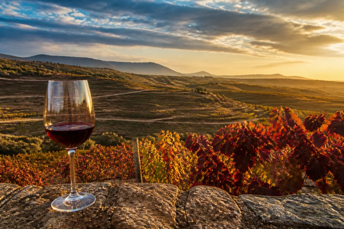 Welche spanische Weinregion passt zu Ihrem Geschmack? Die 5 besten Rotwein-Anbaugebiete im Überblick