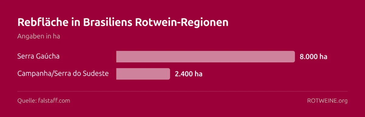 Balkendiagramm: Rebfläche in Brasiliens Rotwein-Regionen — Serra Gaúcha 8.000 ha, Campanha/Serra do Sudeste 2.400 ha