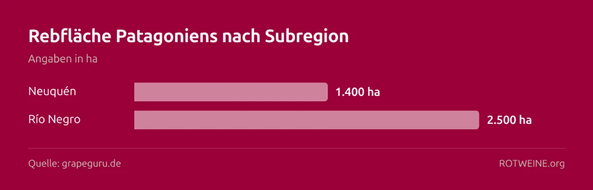Balkendiagramm: Rebfläche Patagoniens nach Subregion — Neuquén 1.400 ha, Río Negro 2.500 ha