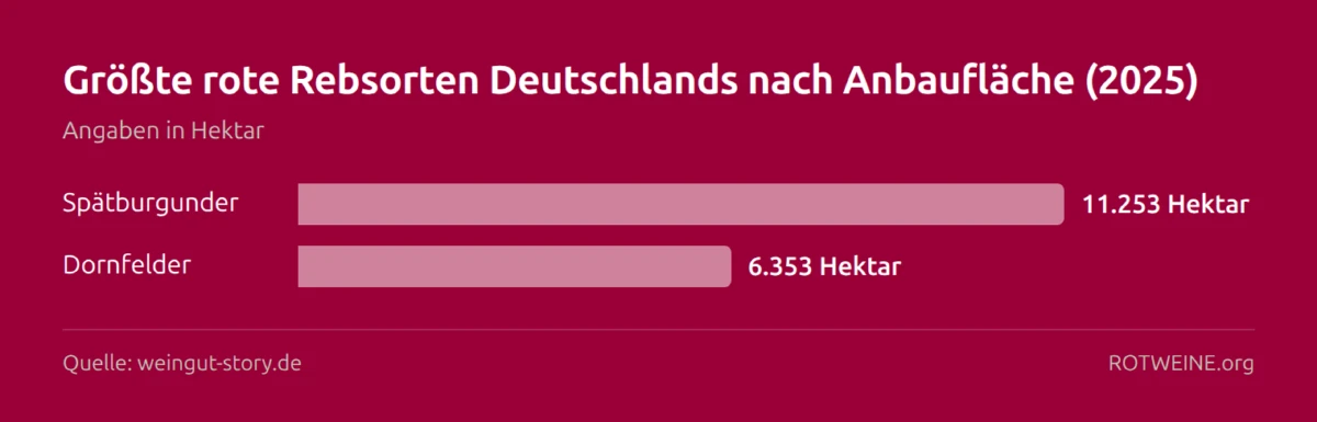 Balkendiagramm: Größte rote Rebsorten Deutschlands nach Anbaufläche (2025) — Spätburgunder 11.253 Hektar, Dornfelder 6.353 Hektar